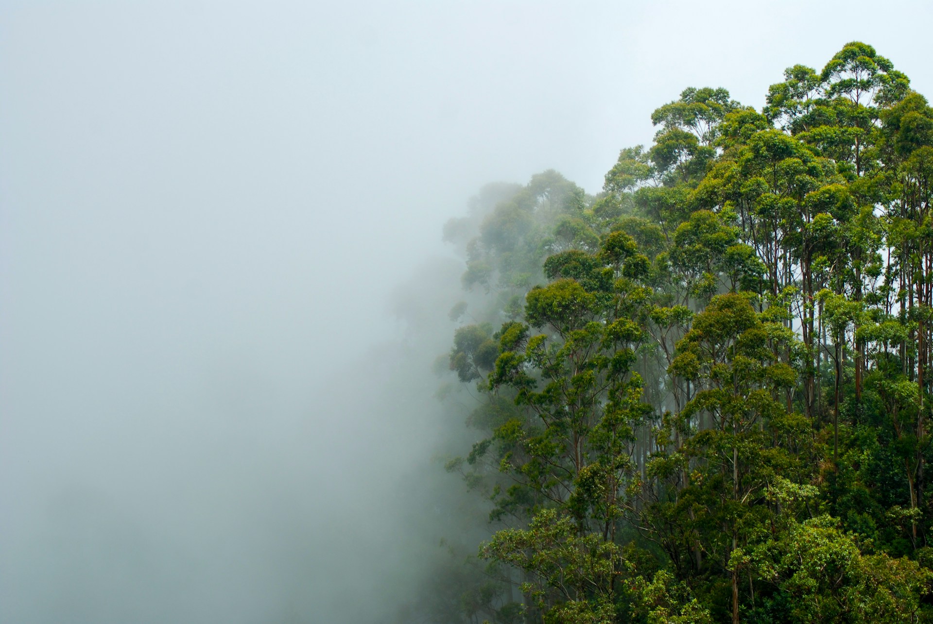 top-5-hidden-birding-spots-in-western-sri-lanka-that-tourists-miss